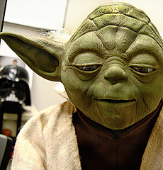 yoda.jpg